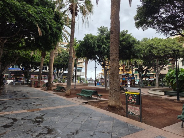 Vista de la Plaza del Charco en el Puerto de la Cruz con bancos, palmeras y zona de juegos infantiles.