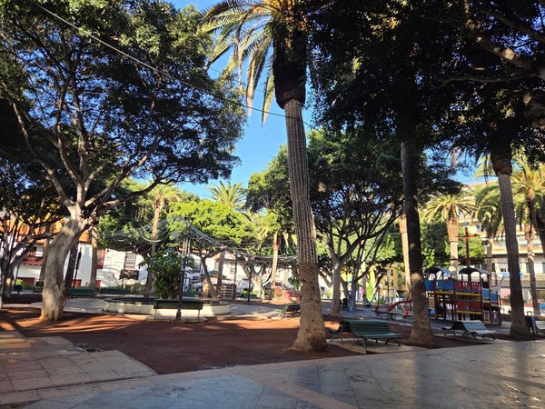 Vista de la Plaza del Charco en Puerto de la Cruz, con árboles frondosos, palmeras, bancos y zonas de paseo en un ambiente urbano y sombreado.