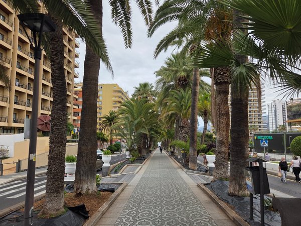 Avenida con palmeras y paseo central en Puerto de la Cruz, con edificios y cielo nublado.