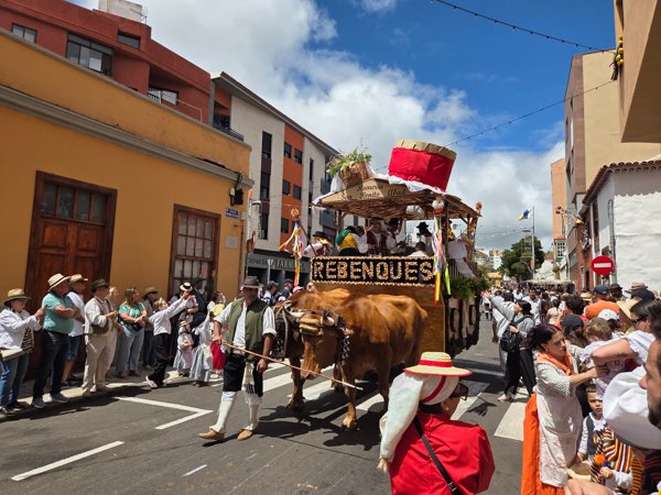 Carreta tradicional tirada por bueyes en la Romería de San Benito Abad en La Laguna, con gente vestida con trajes típicos canarios.