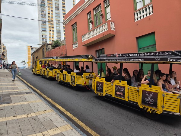 El tren amarillo de Loro Parque sube una calle del Puerto de la Cruz con turistas a bordo, junto a fachadas coloridas y edificios altos al fondo.